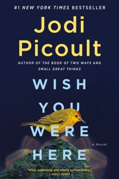 Cover of Wish you were here : a novel