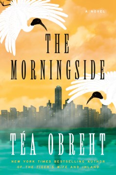 Cover of The morningside : a novel