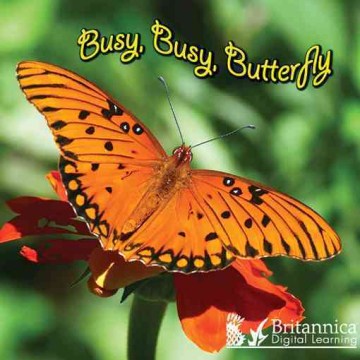 Busy, Busy, Butterfly by Carroll, Molly ; Britannica Digital Learning (EDT)